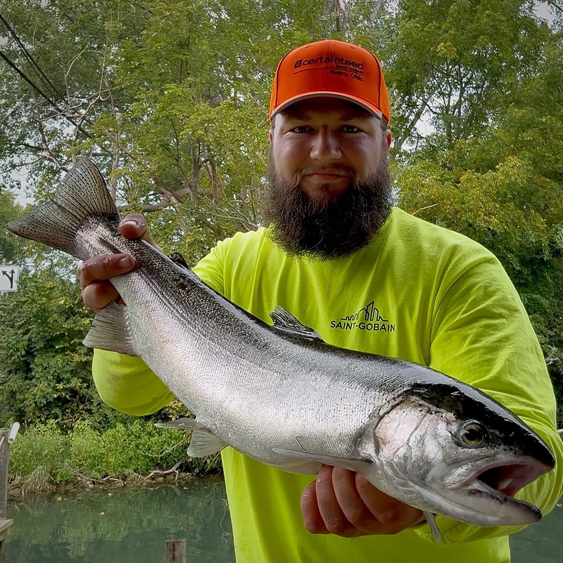 Steelhead caught on Fishbrain