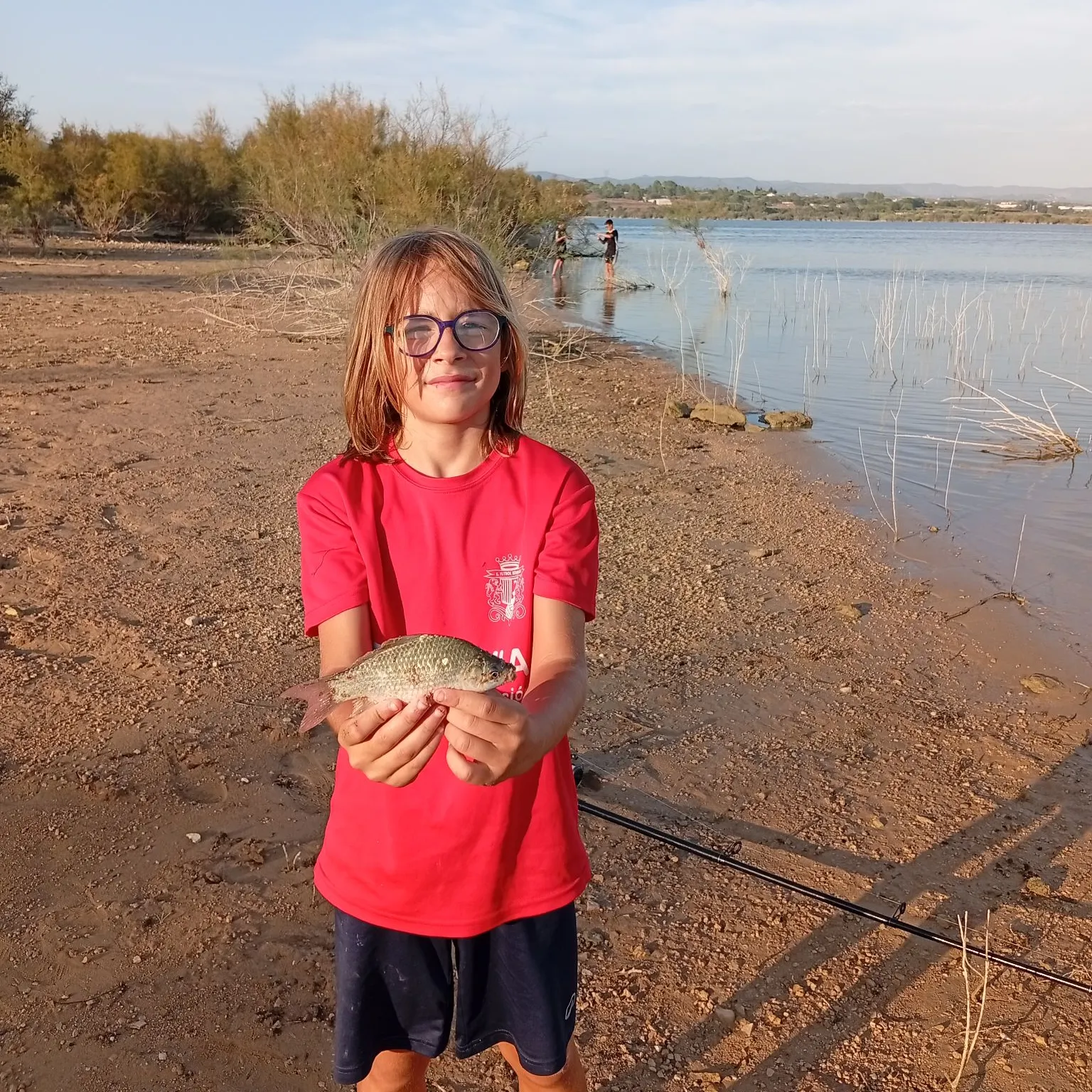 Common carp caught on Fishbrain