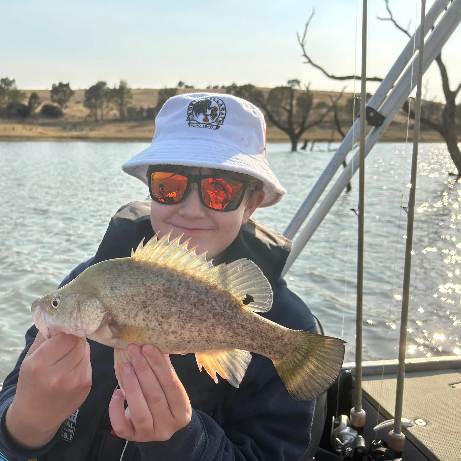 The most recent Golden perch catches on Fishbrain