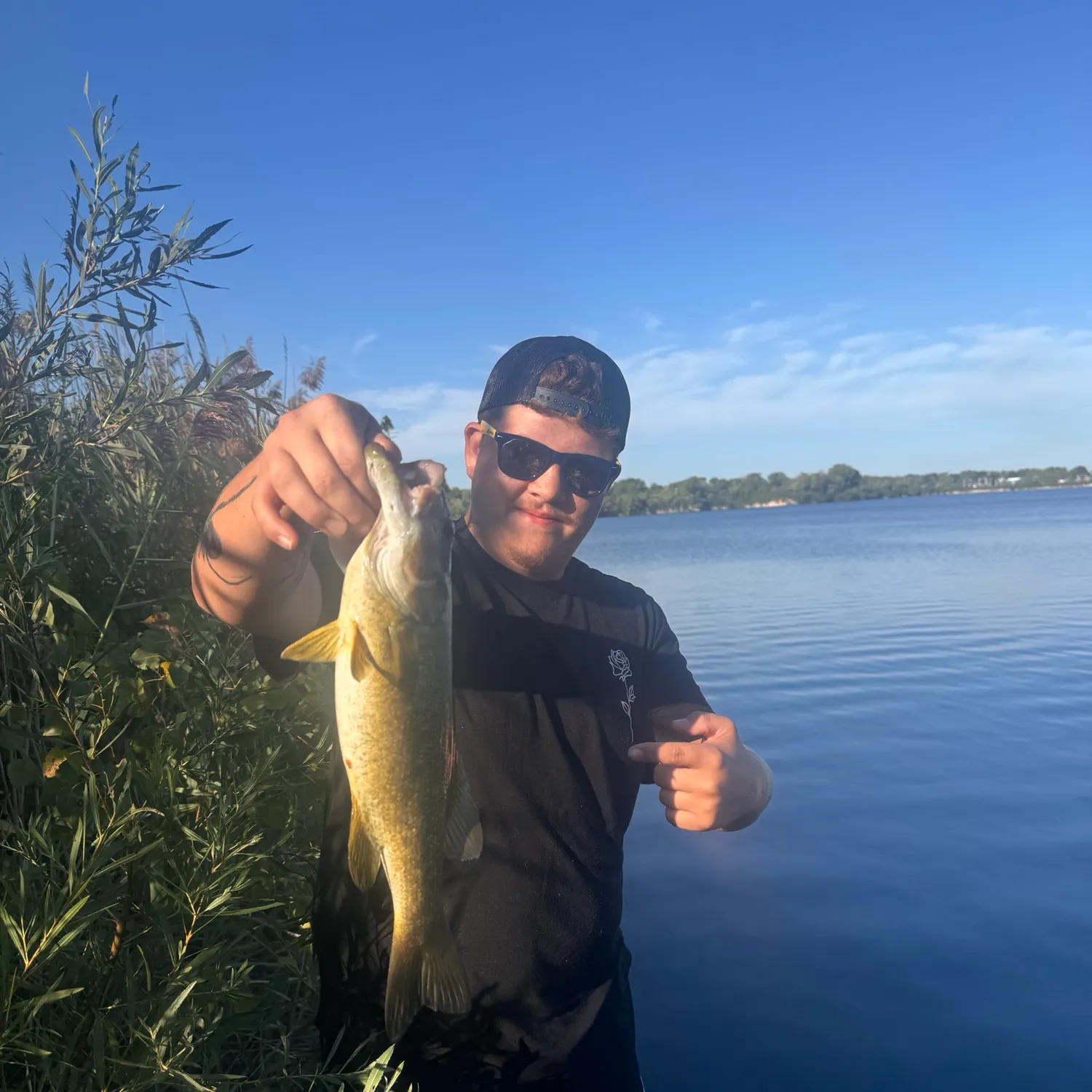 Smallmouth bass caught on Fishbrain