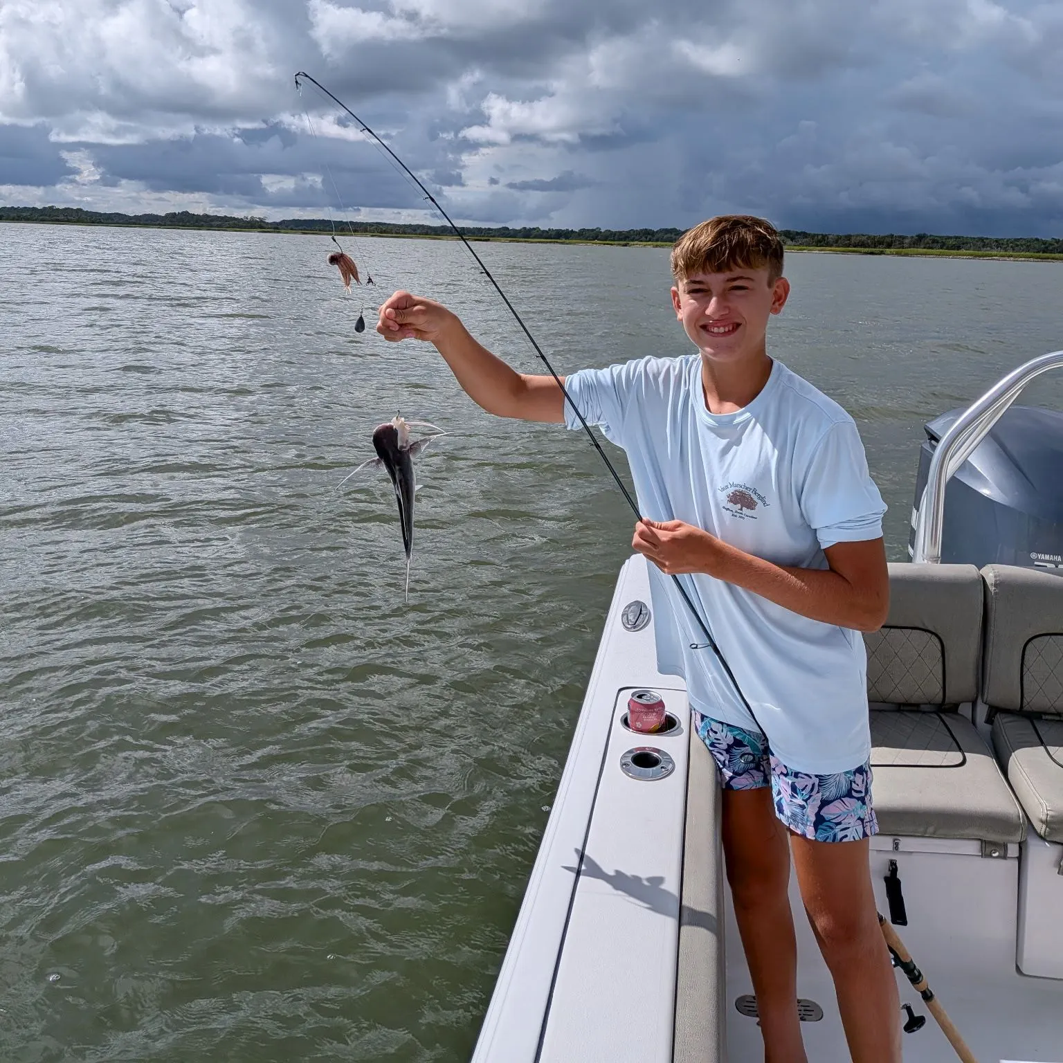 Gafftopsail sea catfish caught on Fishbrain