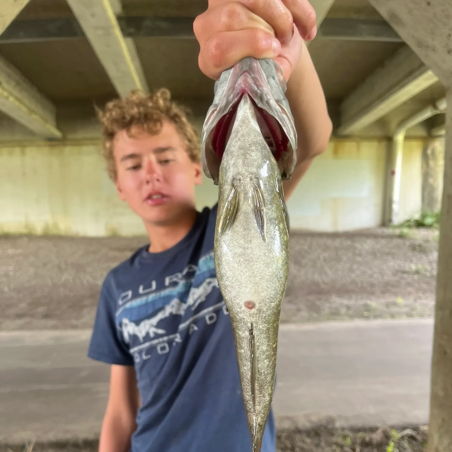 Smallmouth bass caught on Fishbrain