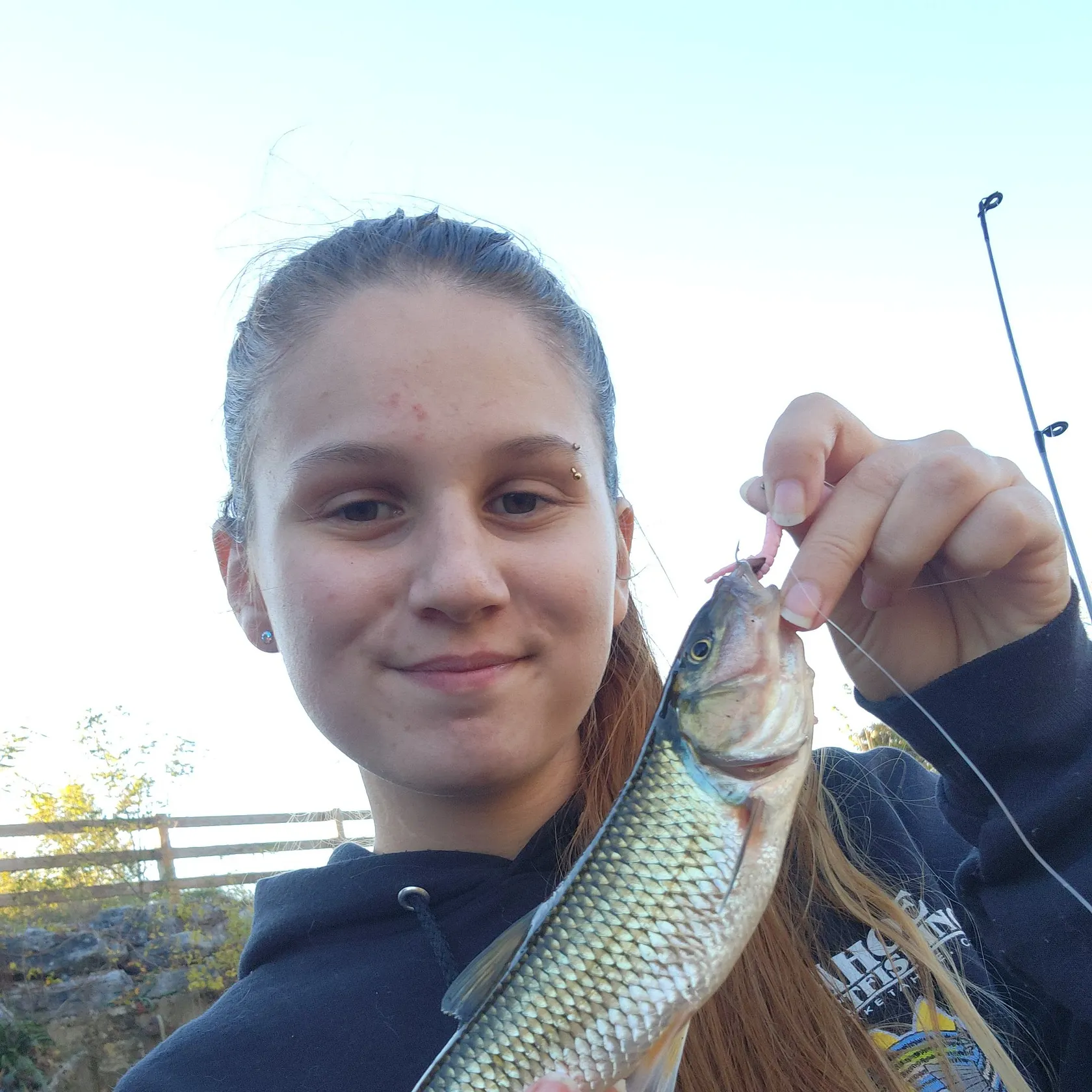 Fallfish caught on Fishbrain