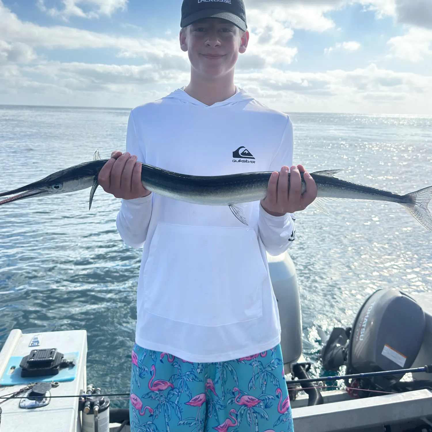 The most recent Hound needlefish catches on Fishbrain