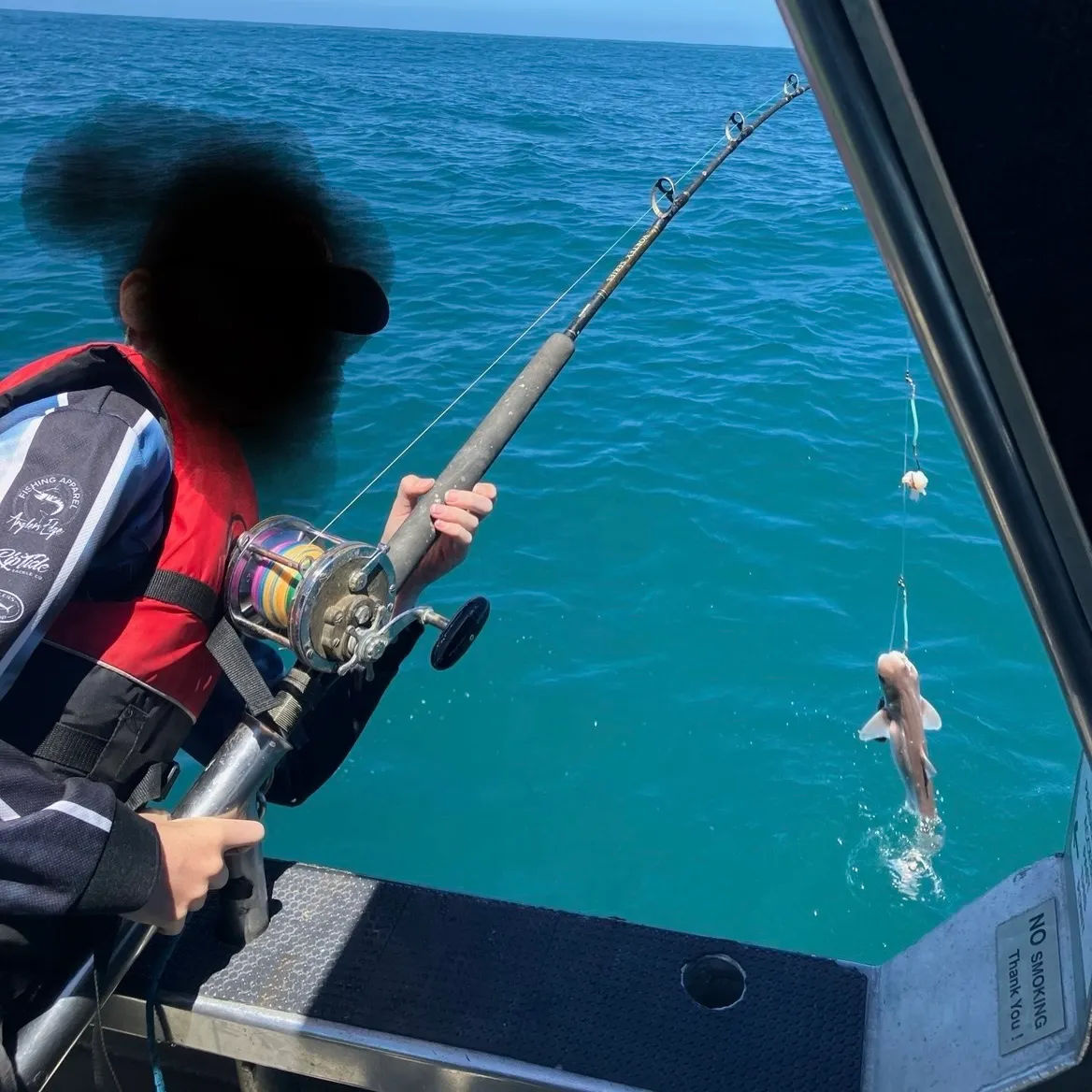 The most recent Pacific spiny dogfish catches on Fishbrain