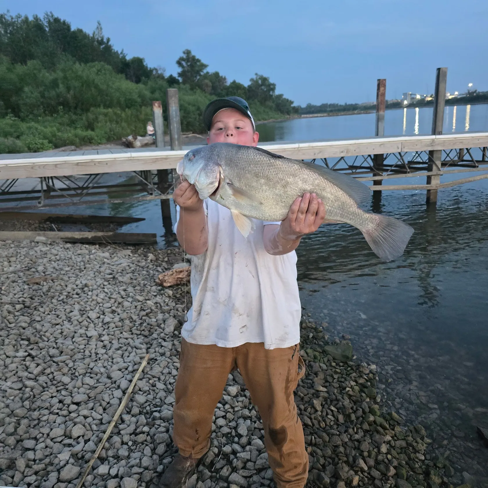 Freshwater drum caught on Fishbrain