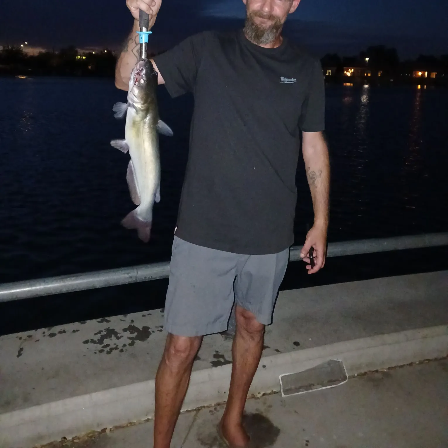 Channel catfish caught on Fishbrain