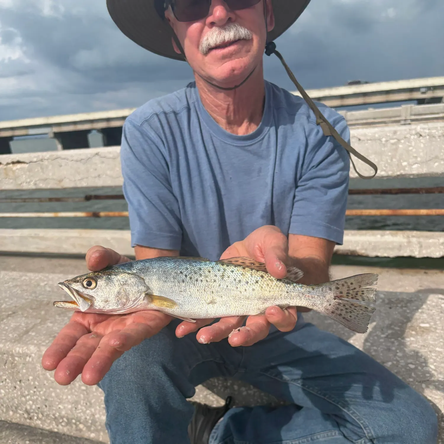 Spotted seatrout caught on Fishbrain