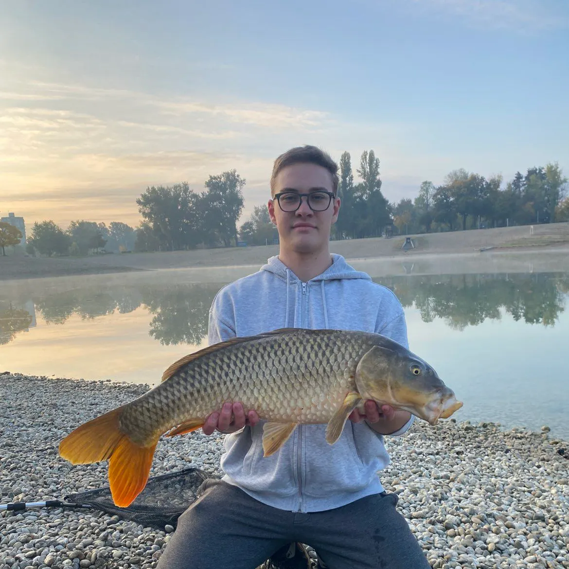 Common carp caught on Fishbrain