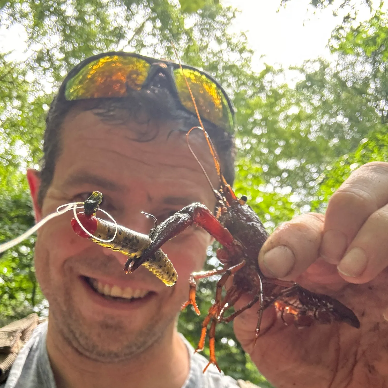 The most recent Red swamp crayfish catches on Fishbrain