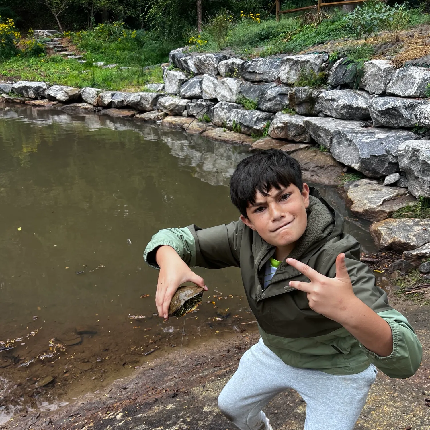 The most recent Painted turtle catches on Fishbrain