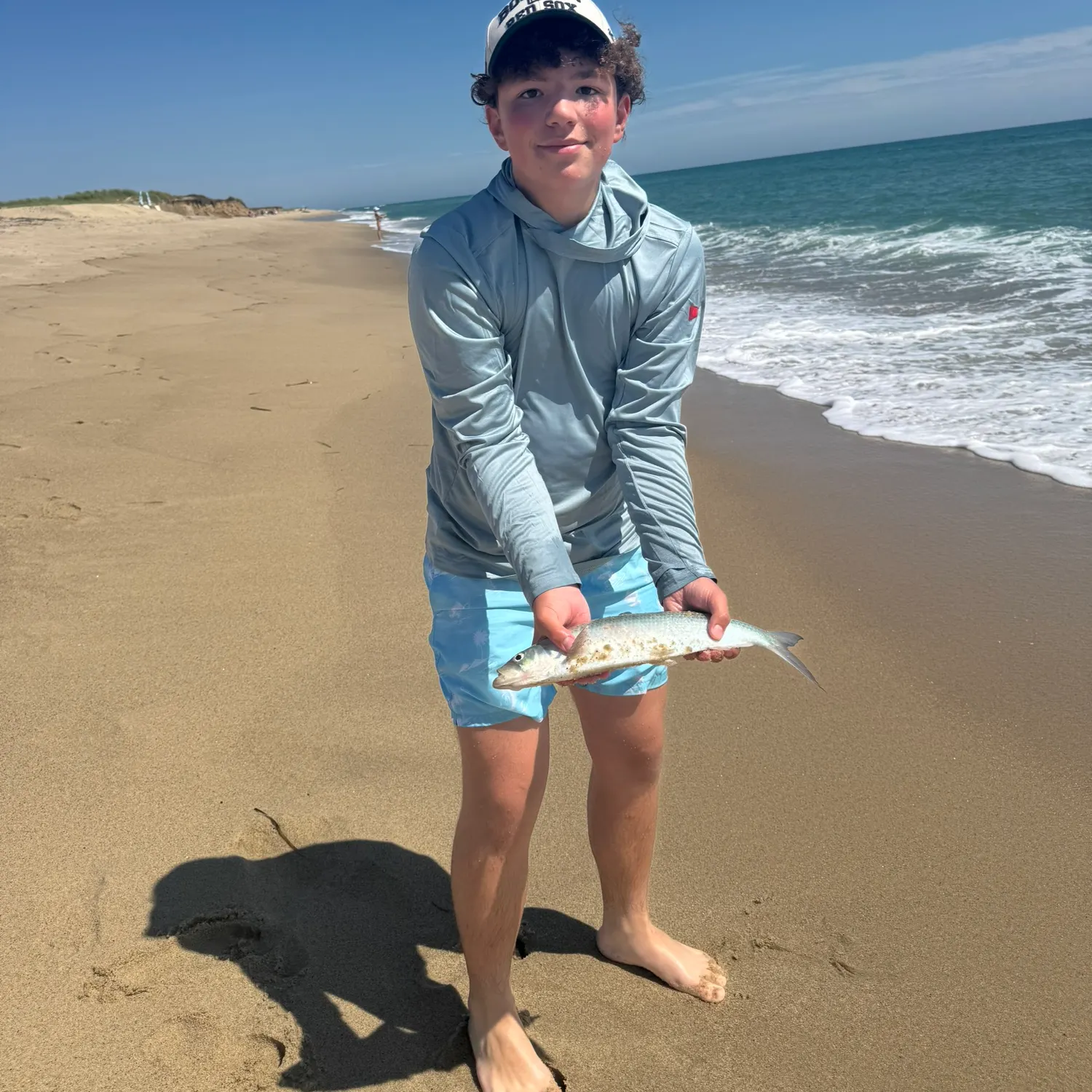 The most recent American shad catches on Fishbrain