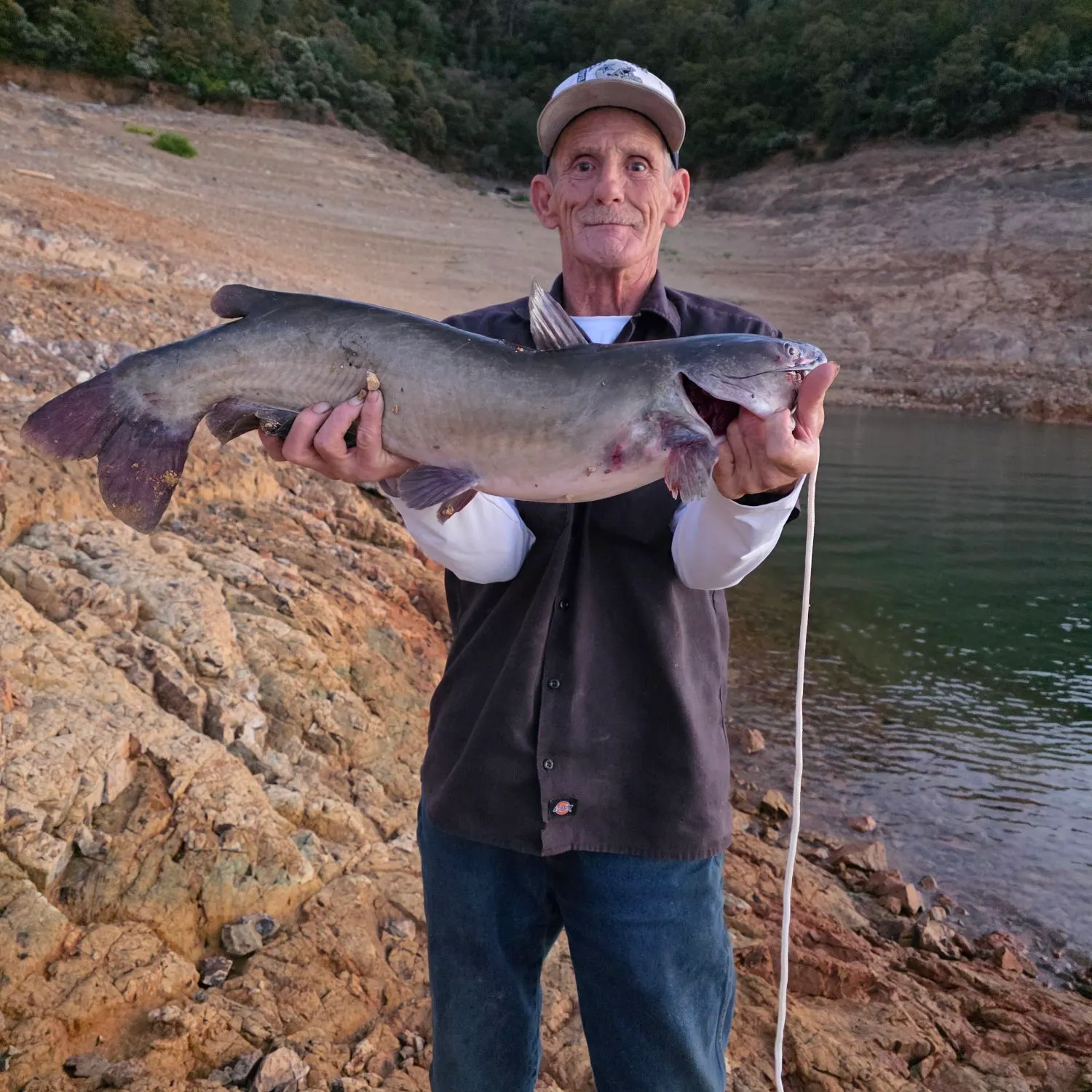 Channel catfish caught on Fishbrain