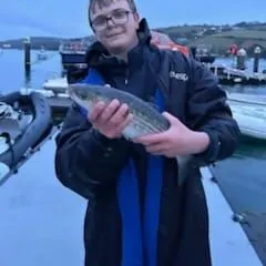 most liked catch image