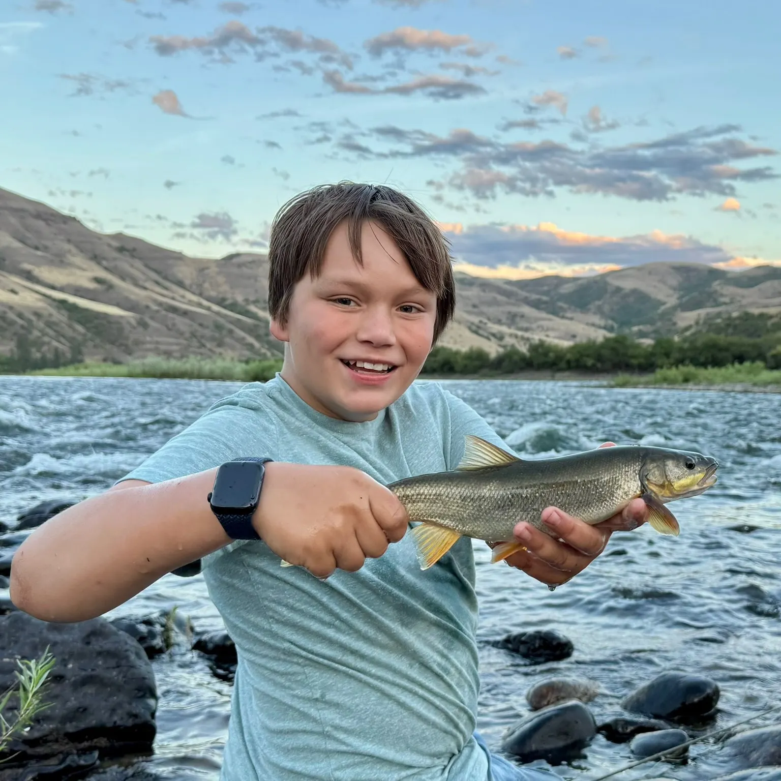 The most recent Northern pikeminnow catches on Fishbrain