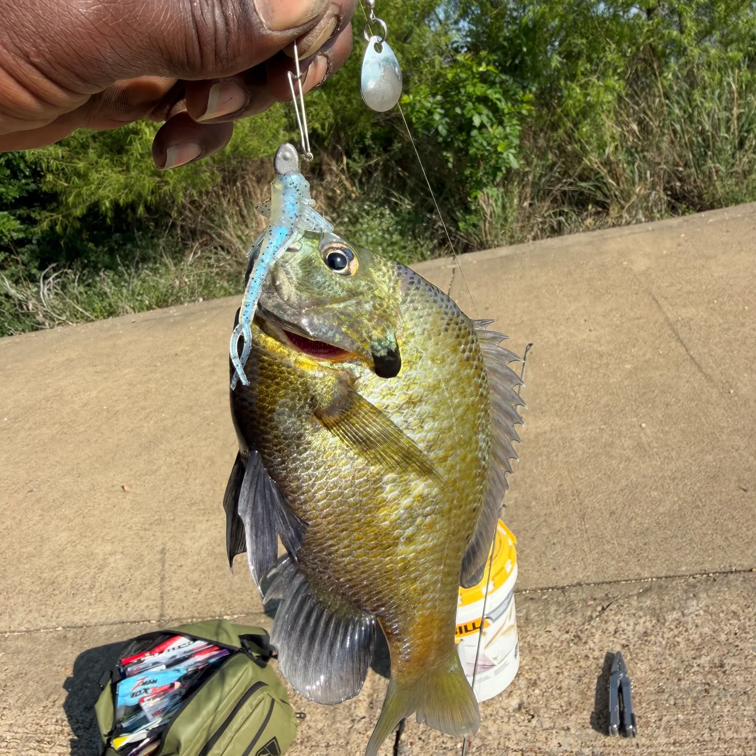 catch