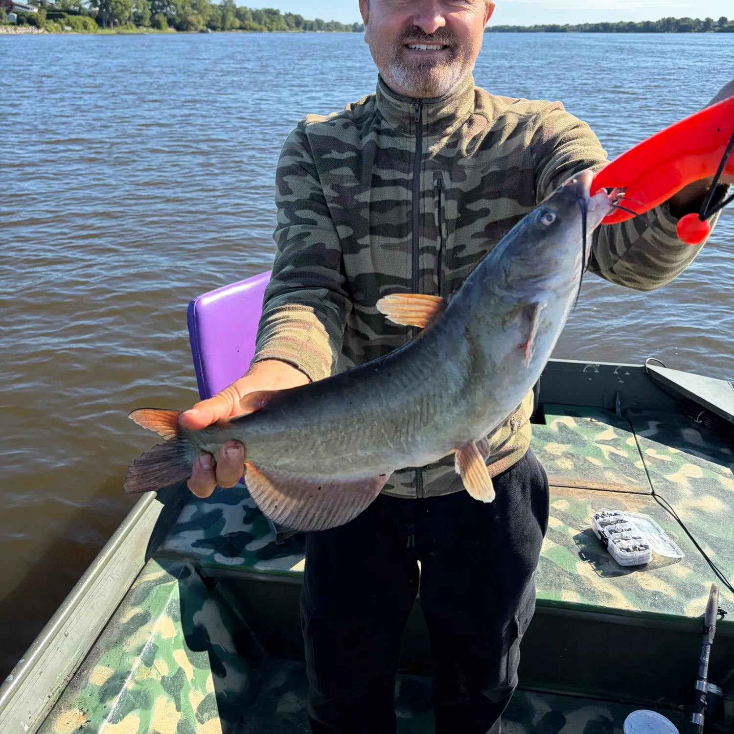 Channel catfish caught on Fishbrain