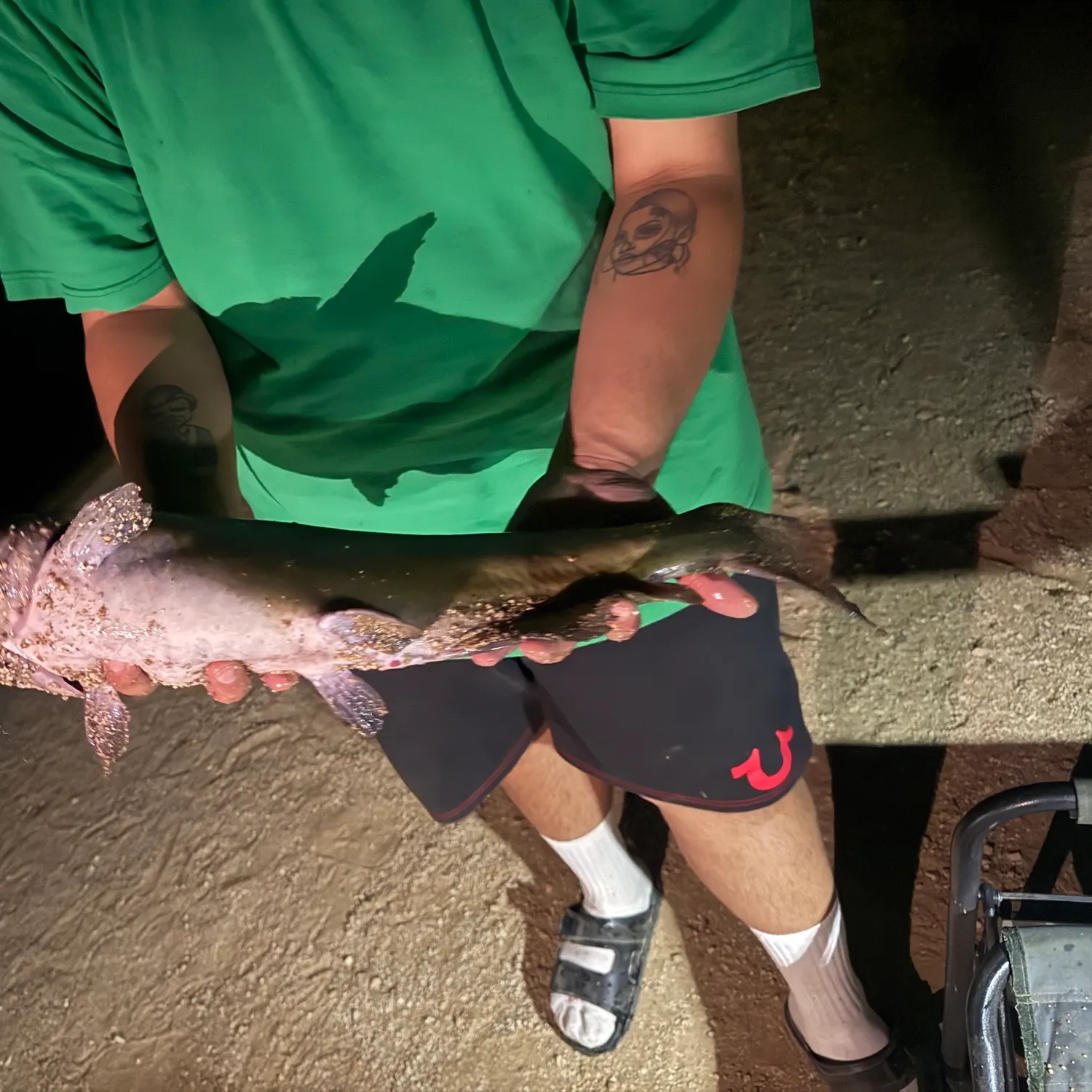 catch