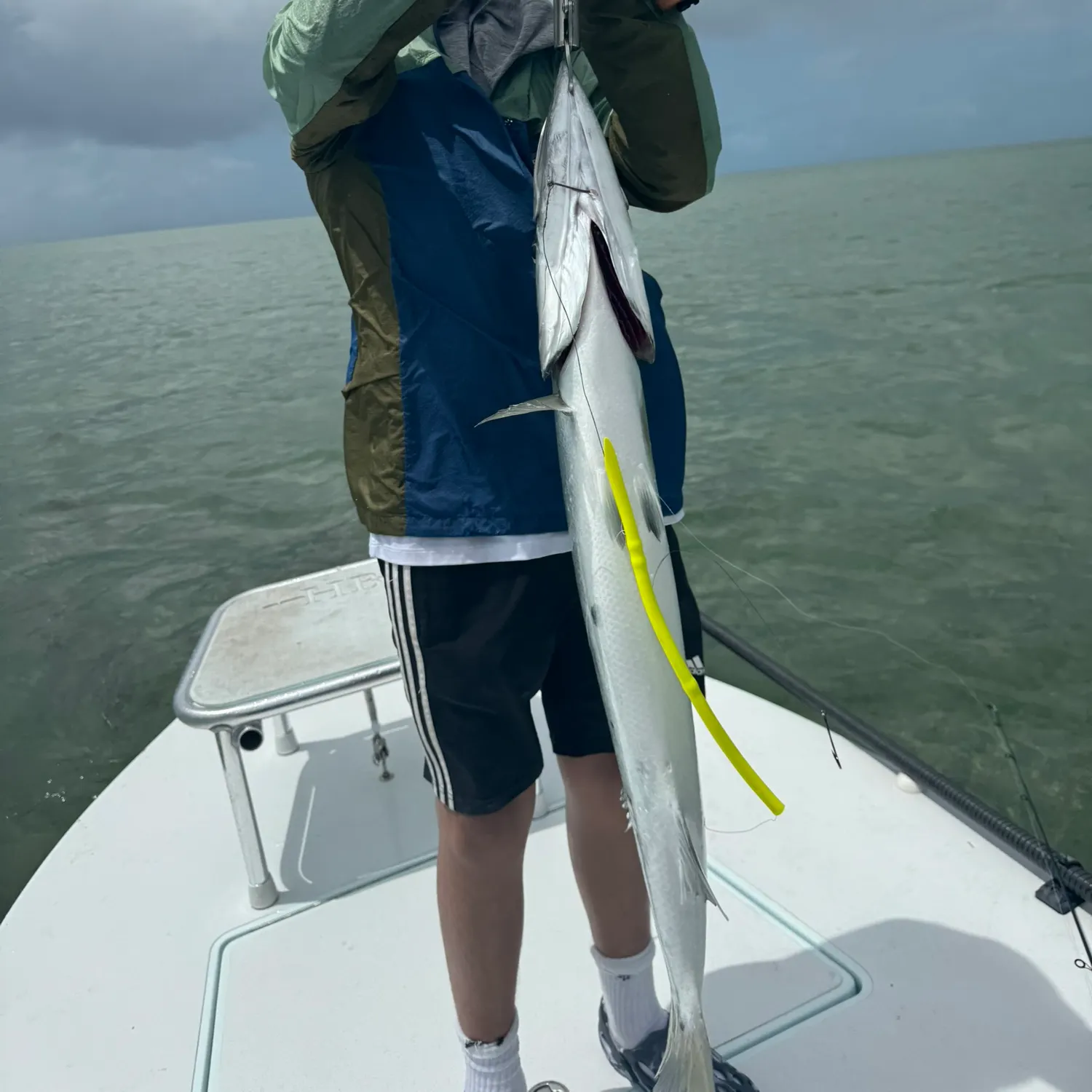 The most recent Great barracuda catches on Fishbrain