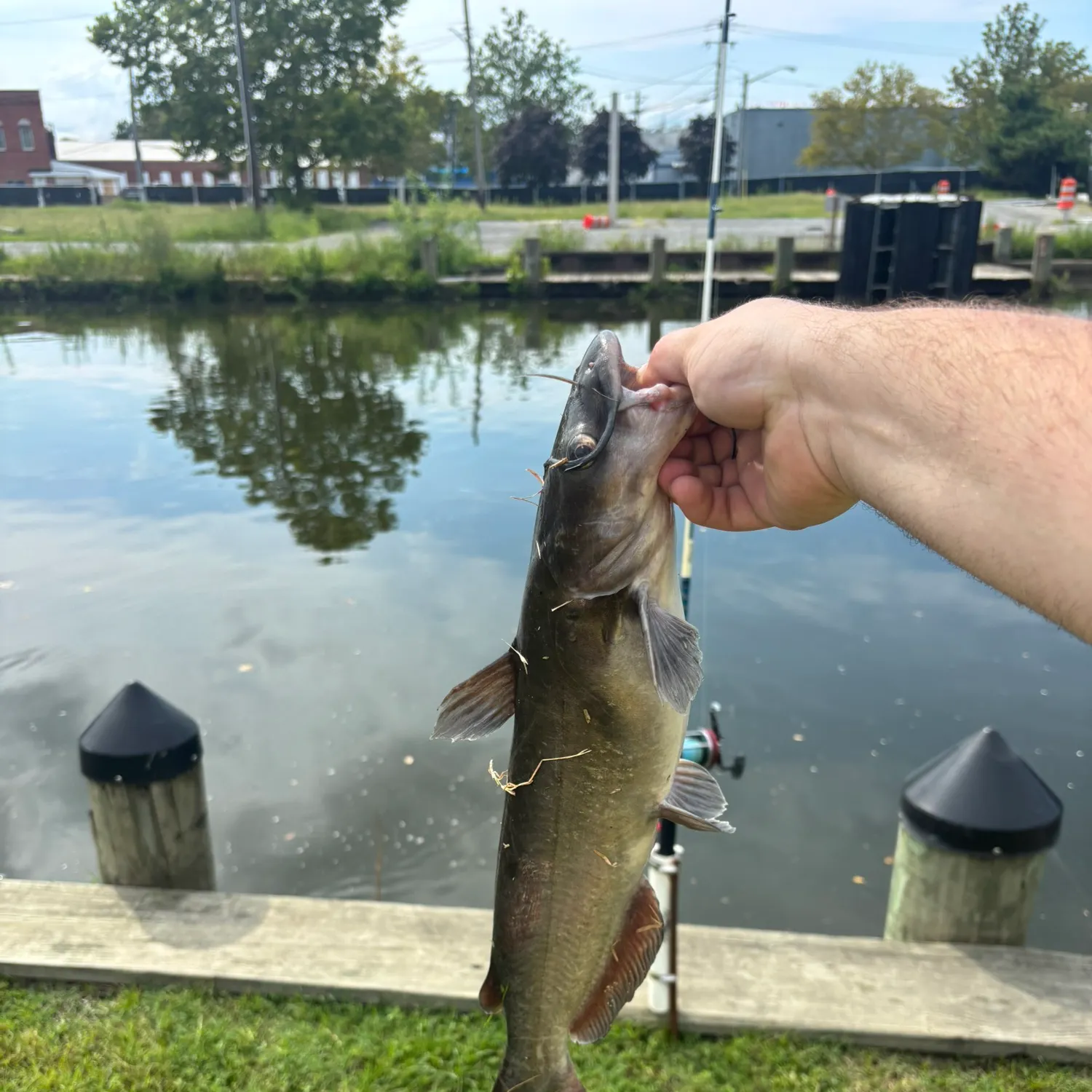 catch