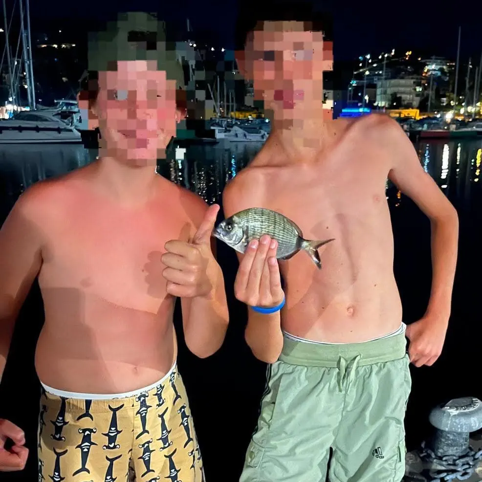 The most recent Sharpsnout seabream catches on Fishbrain