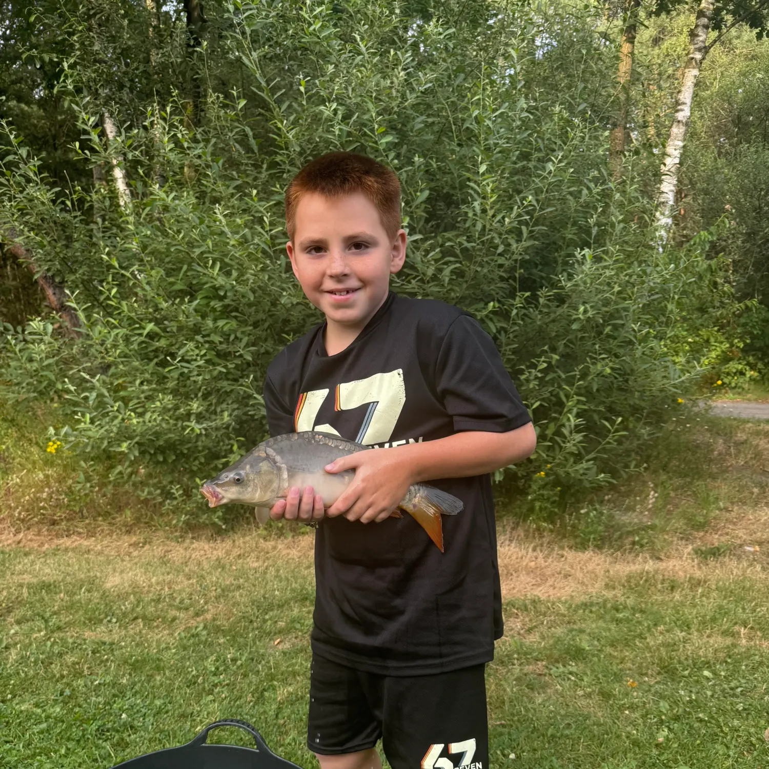 Common carp caught on Fishbrain