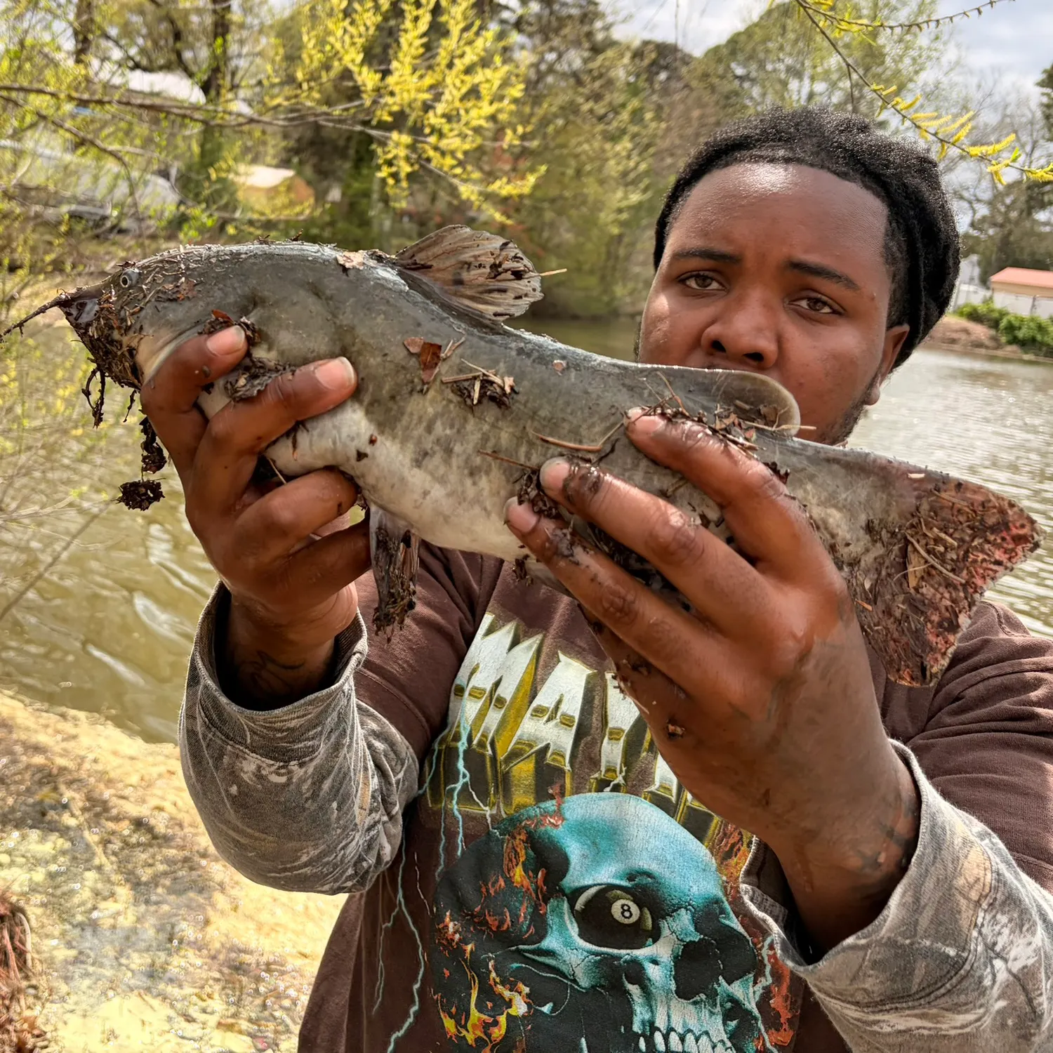 The most recent Brown bullhead catches on Fishbrain