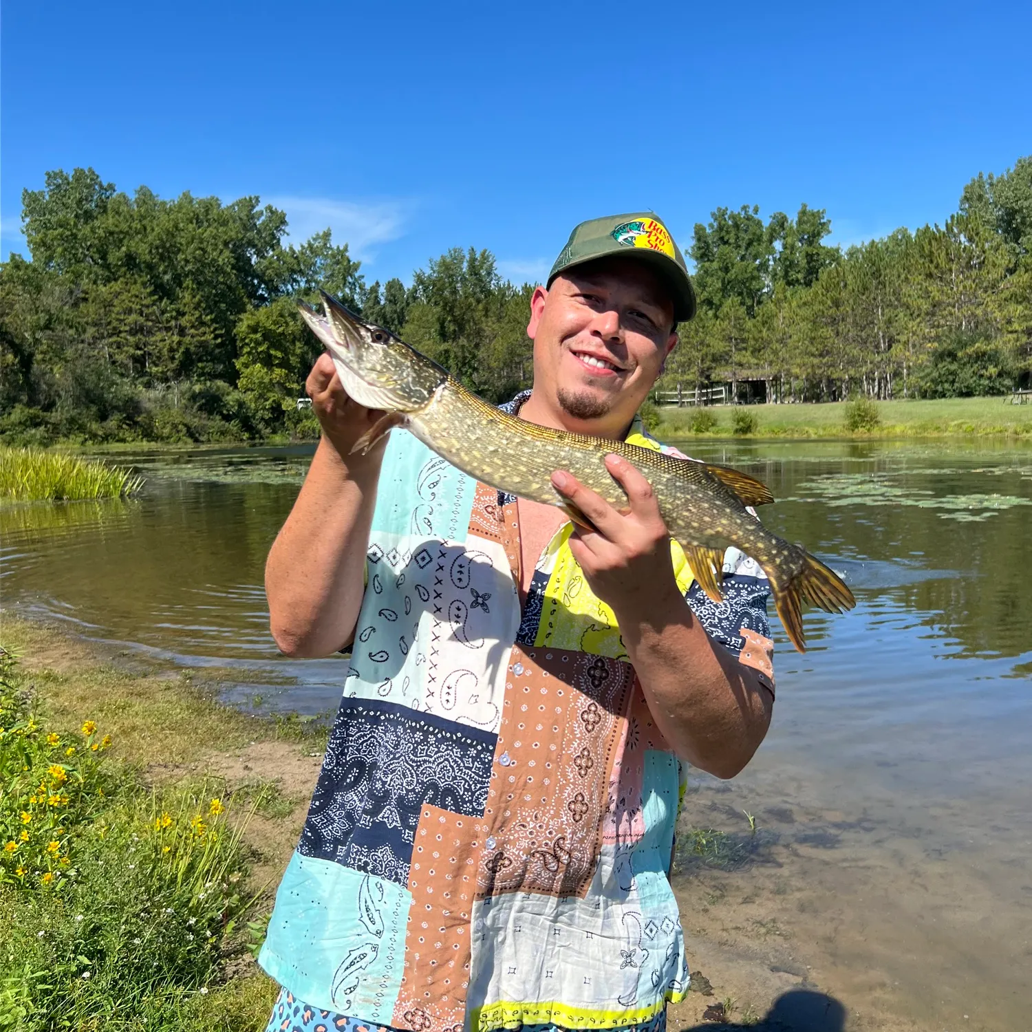 Northern pike caught on Fishbrain