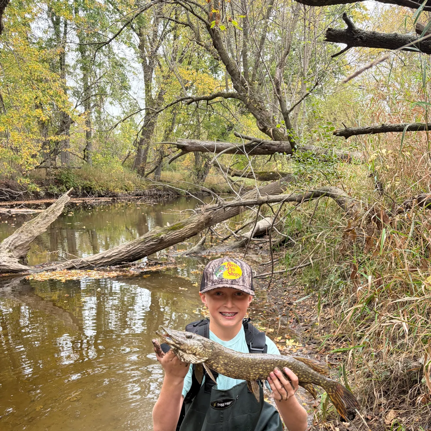 Fish caught on Fishbrain