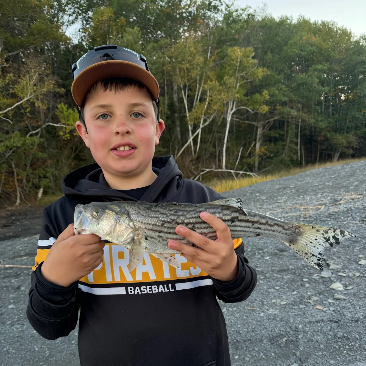 Striped bass caught on Fishbrain