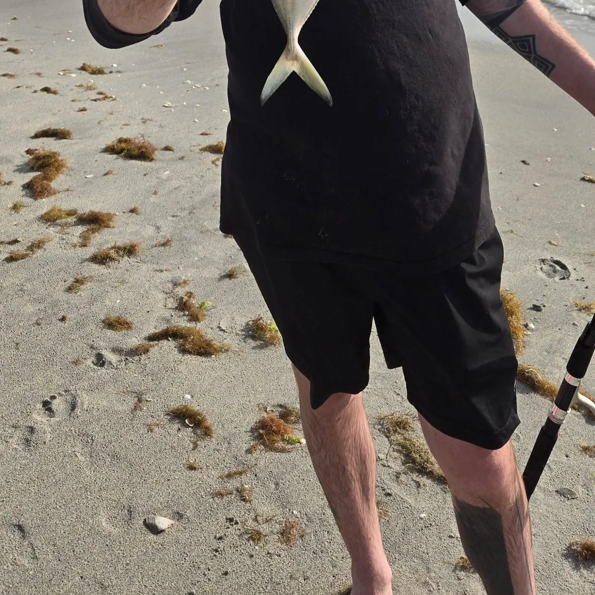 The most recent Blue runner catches on Fishbrain