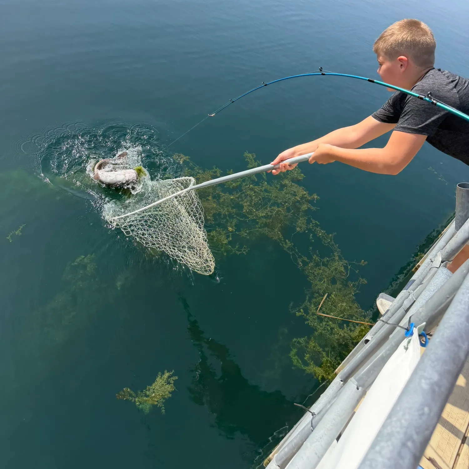 Channel catfish caught on Fishbrain