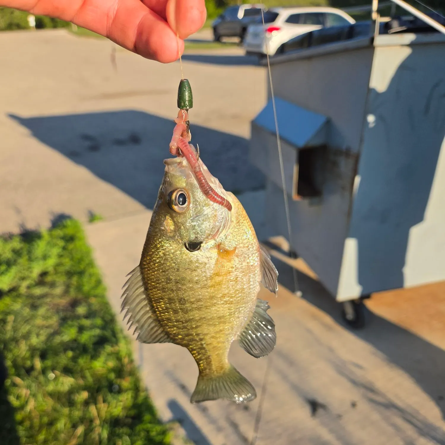 catch