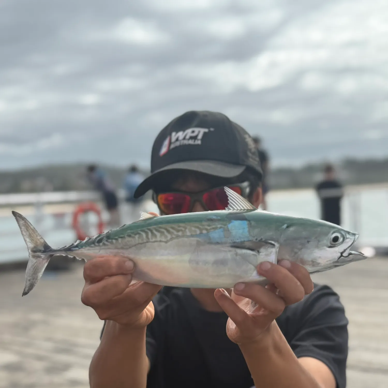 The most recent Frigate tuna catches on Fishbrain