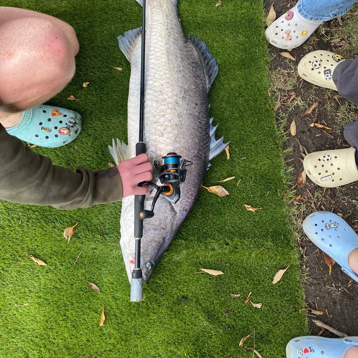 The most recent Barramundi catches on Fishbrain