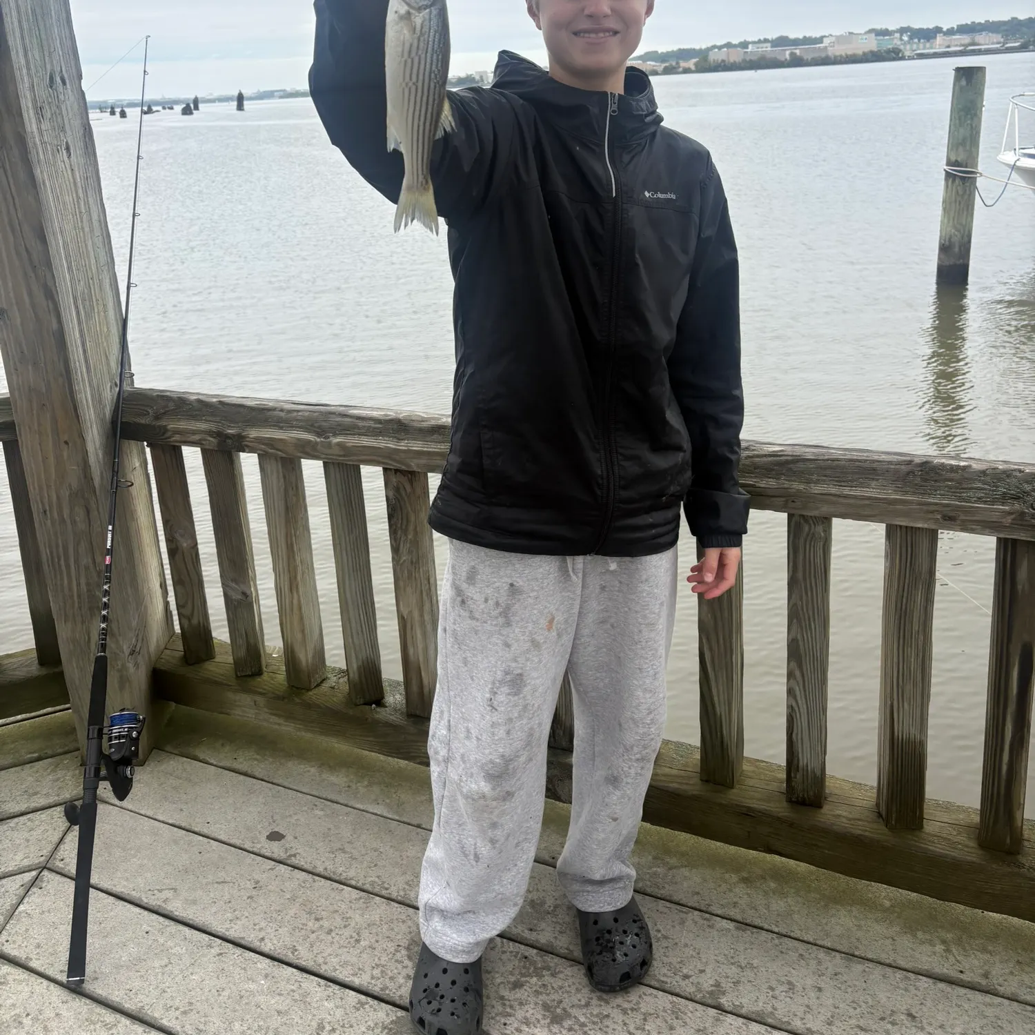 The most recent Striped bass catches on Fishbrain