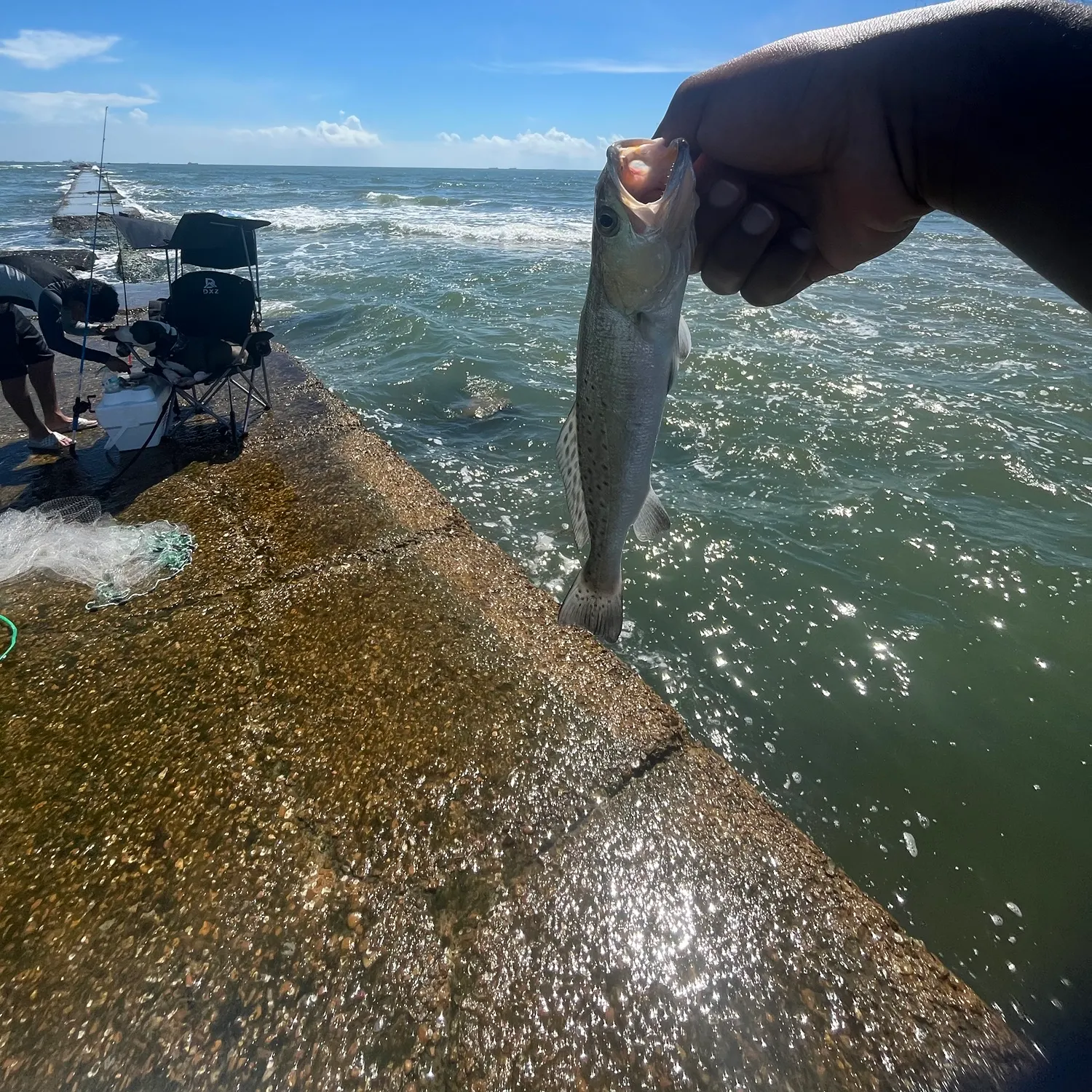 catch