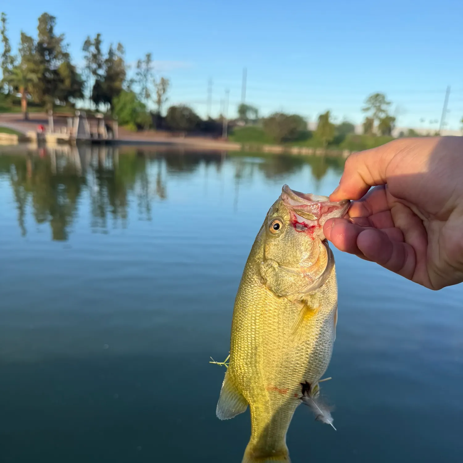 catch