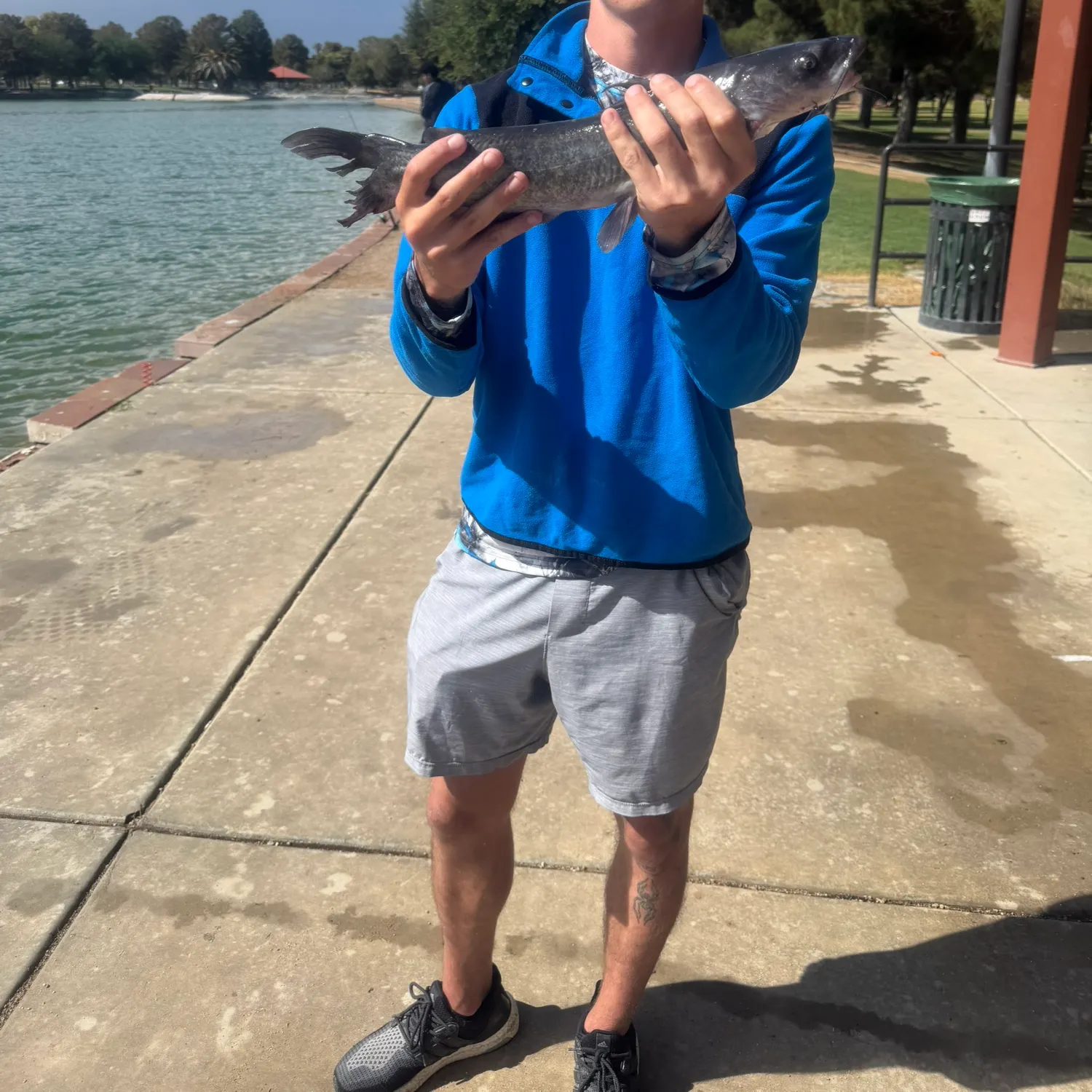Channel catfish caught on Fishbrain