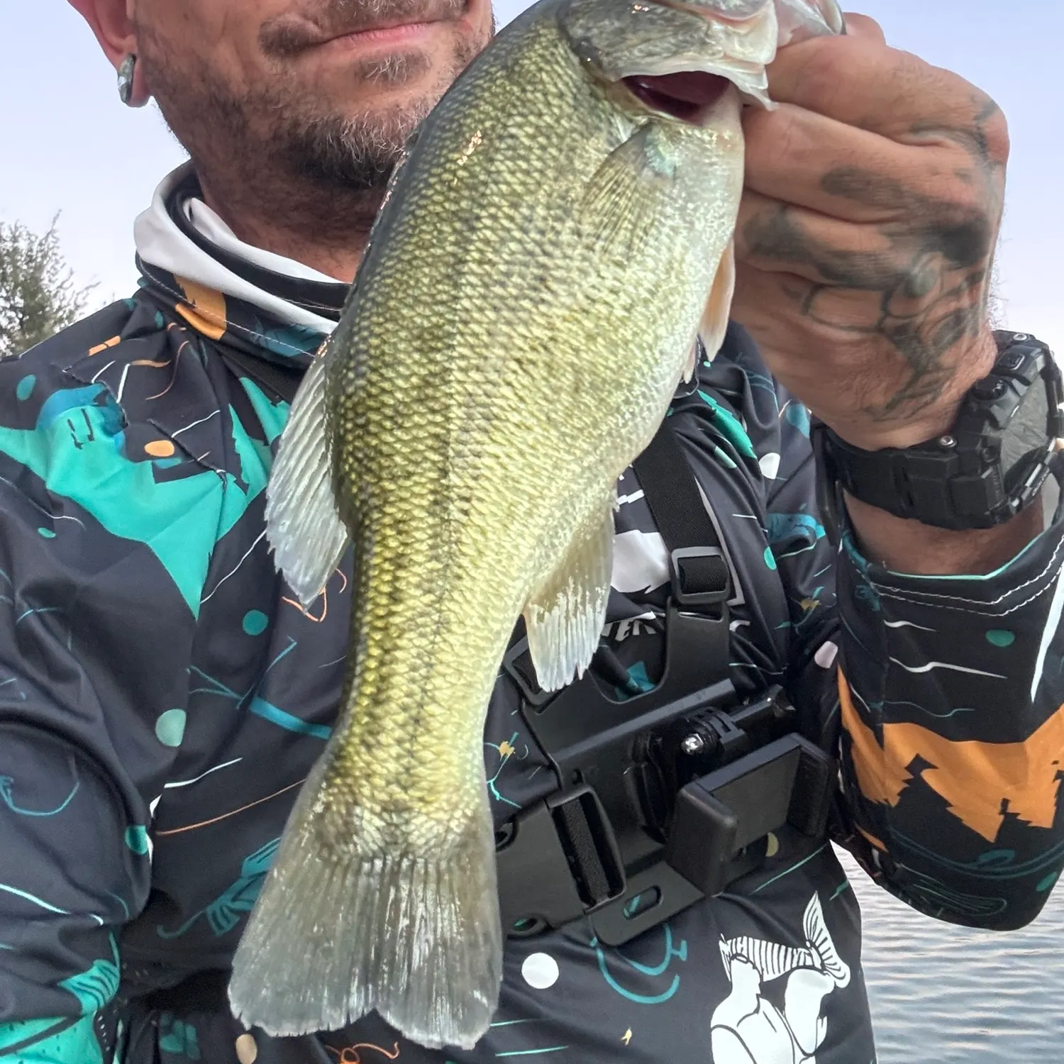 Largemouth bass caught on Fishbrain
