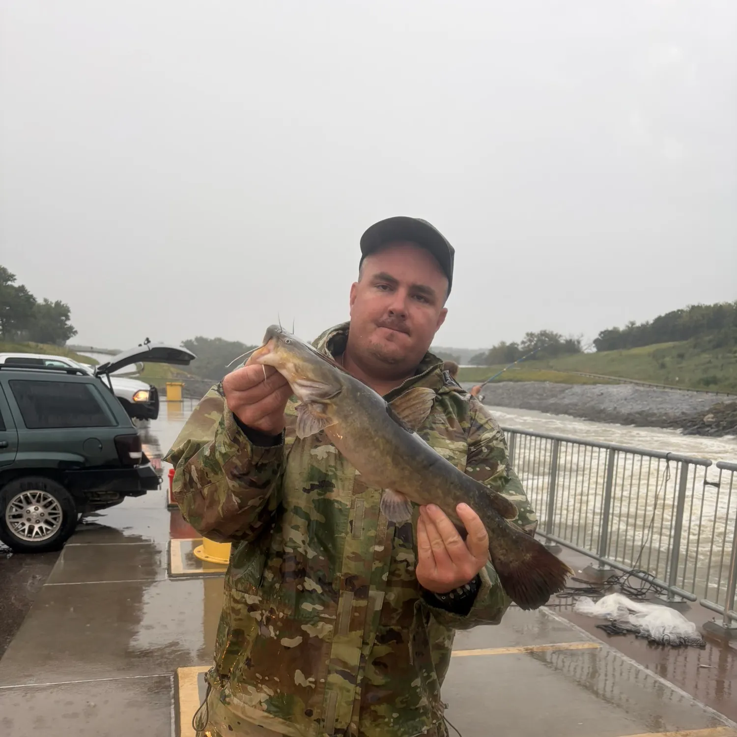 Flathead catfish caught on Fishbrain