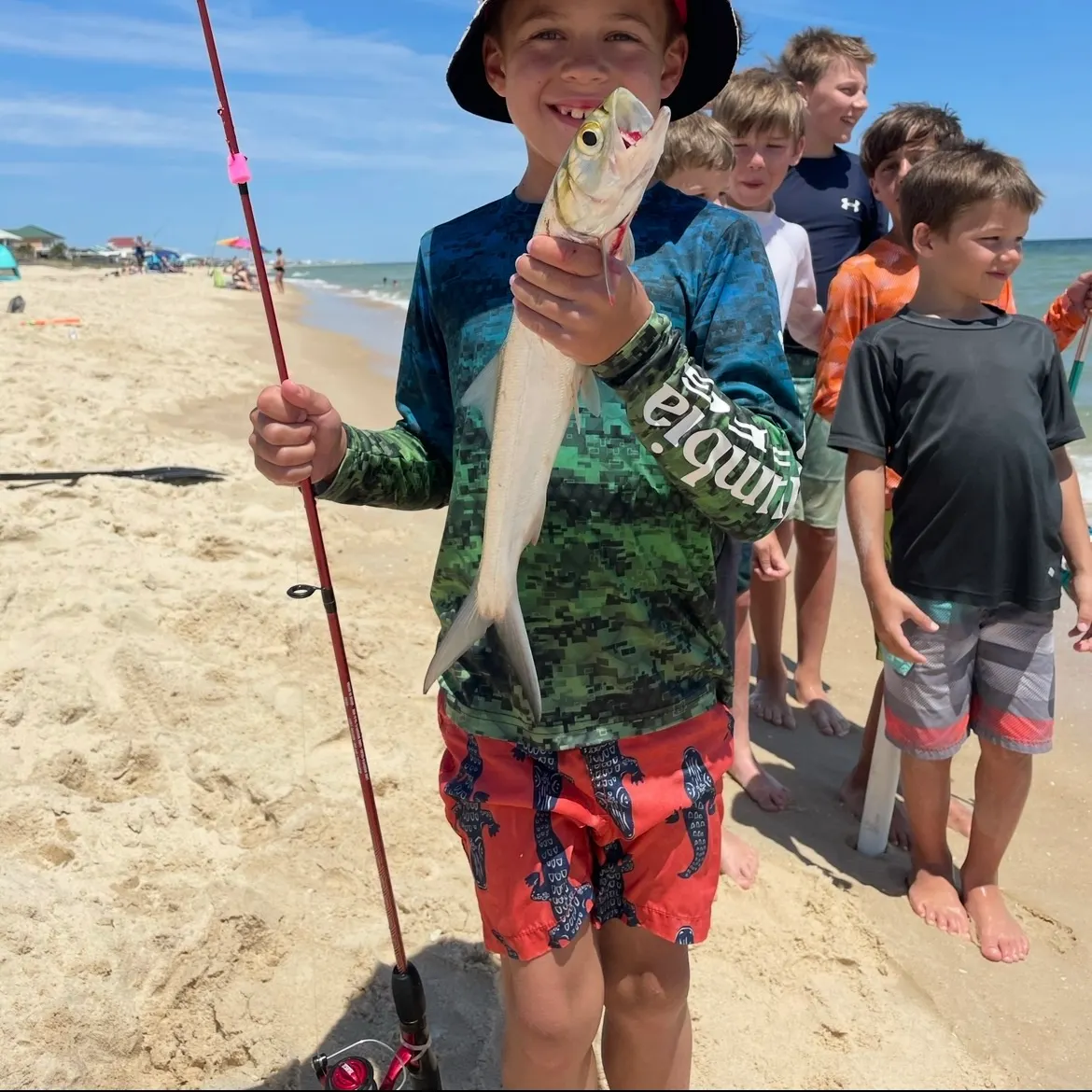 The most recent Ladyfish catches on Fishbrain
