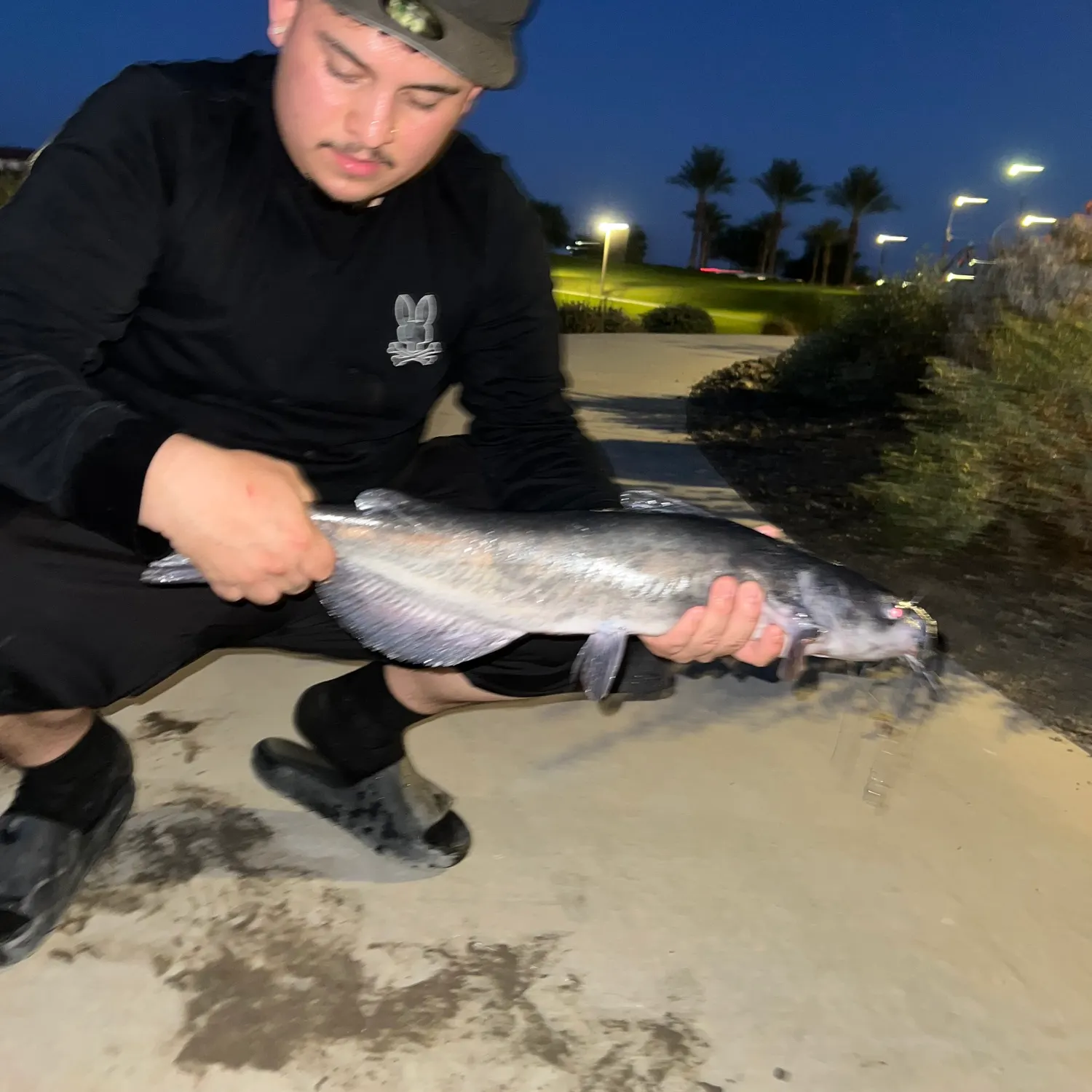 catch