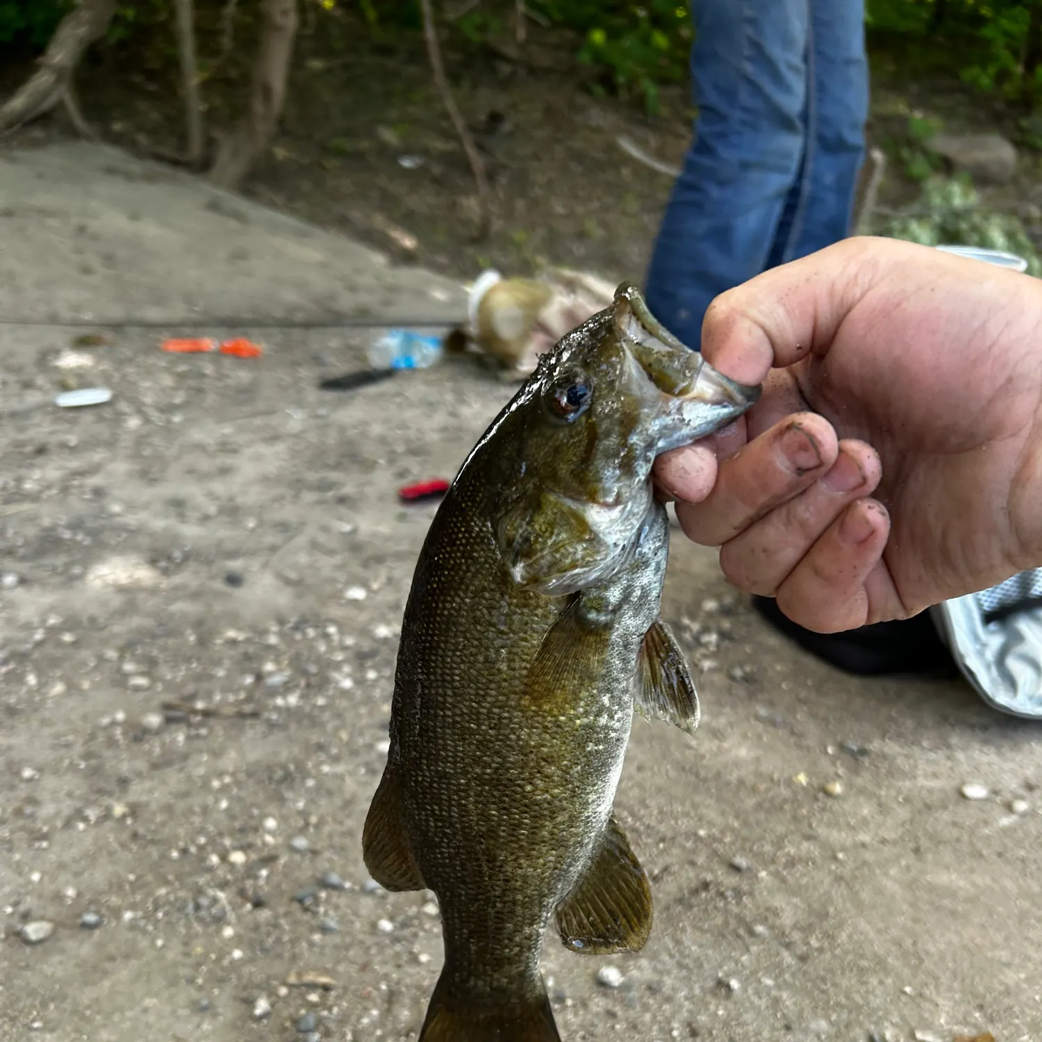 catch