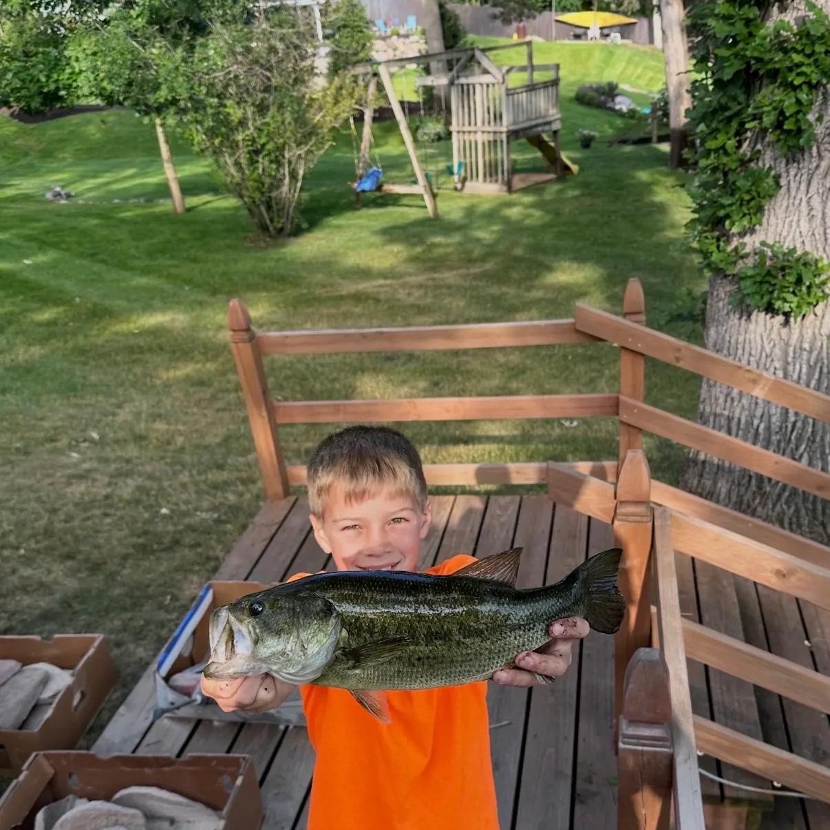 Largemouth bass caught on Fishbrain
