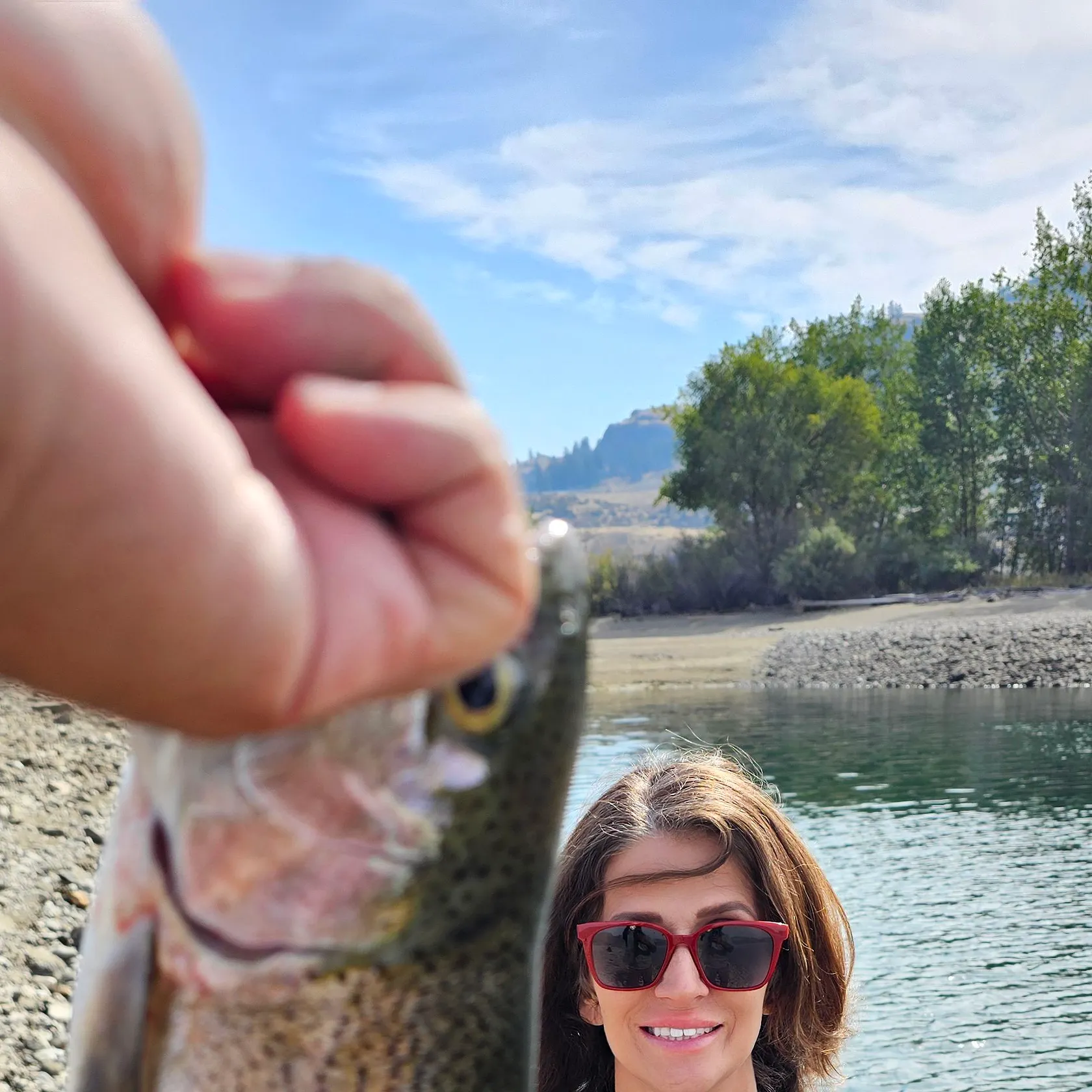 Rainbow trout caught on Fishbrain