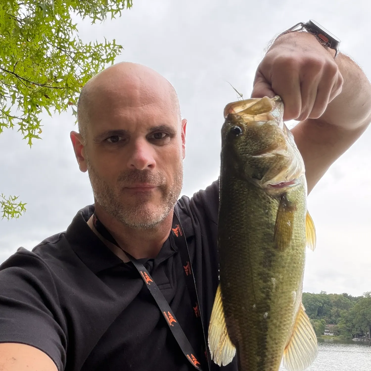 Largemouth bass caught on Fishbrain