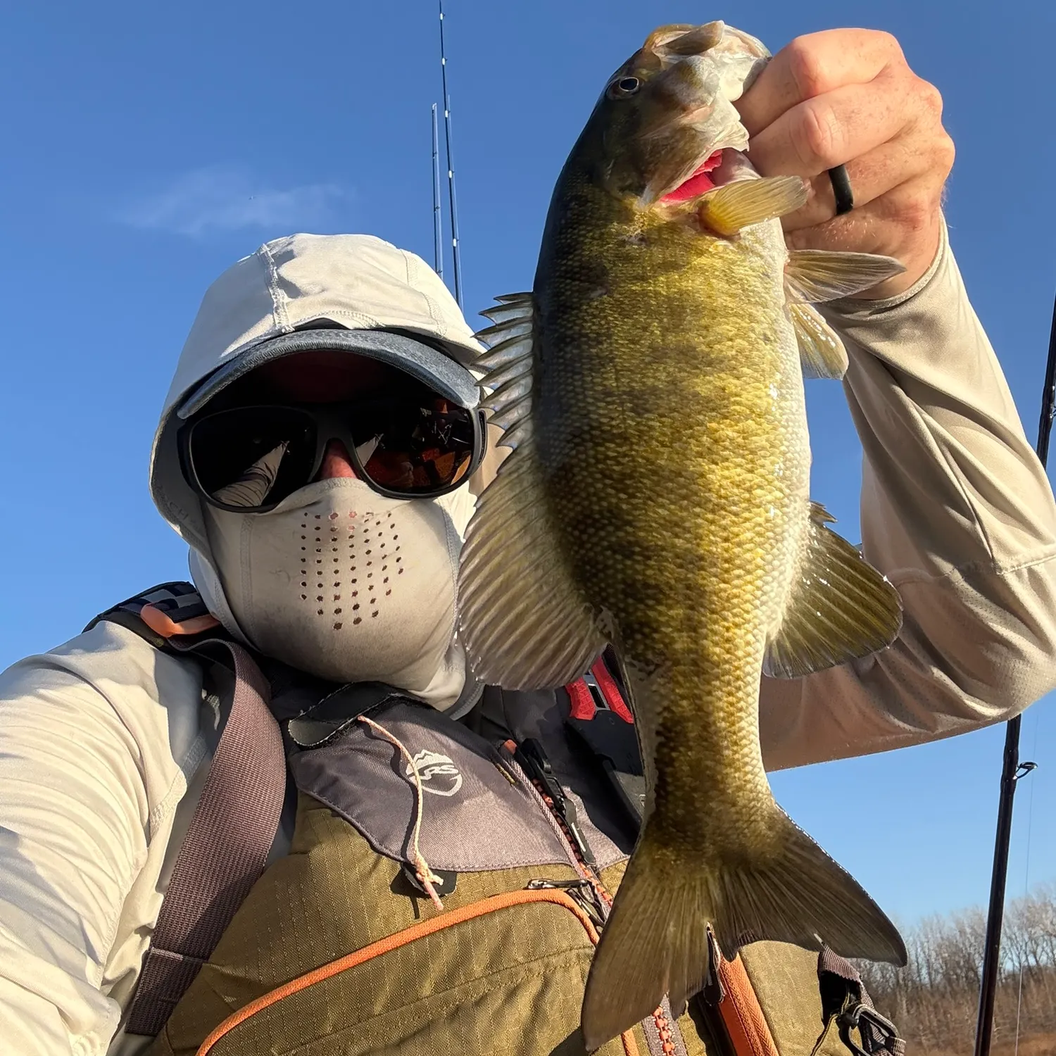The most recent Smallmouth bass catches on Fishbrain