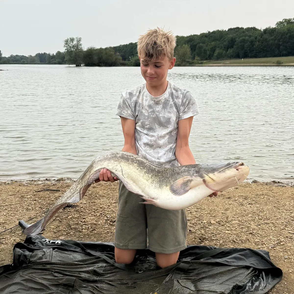 The most recent Wels catfish catches on Fishbrain