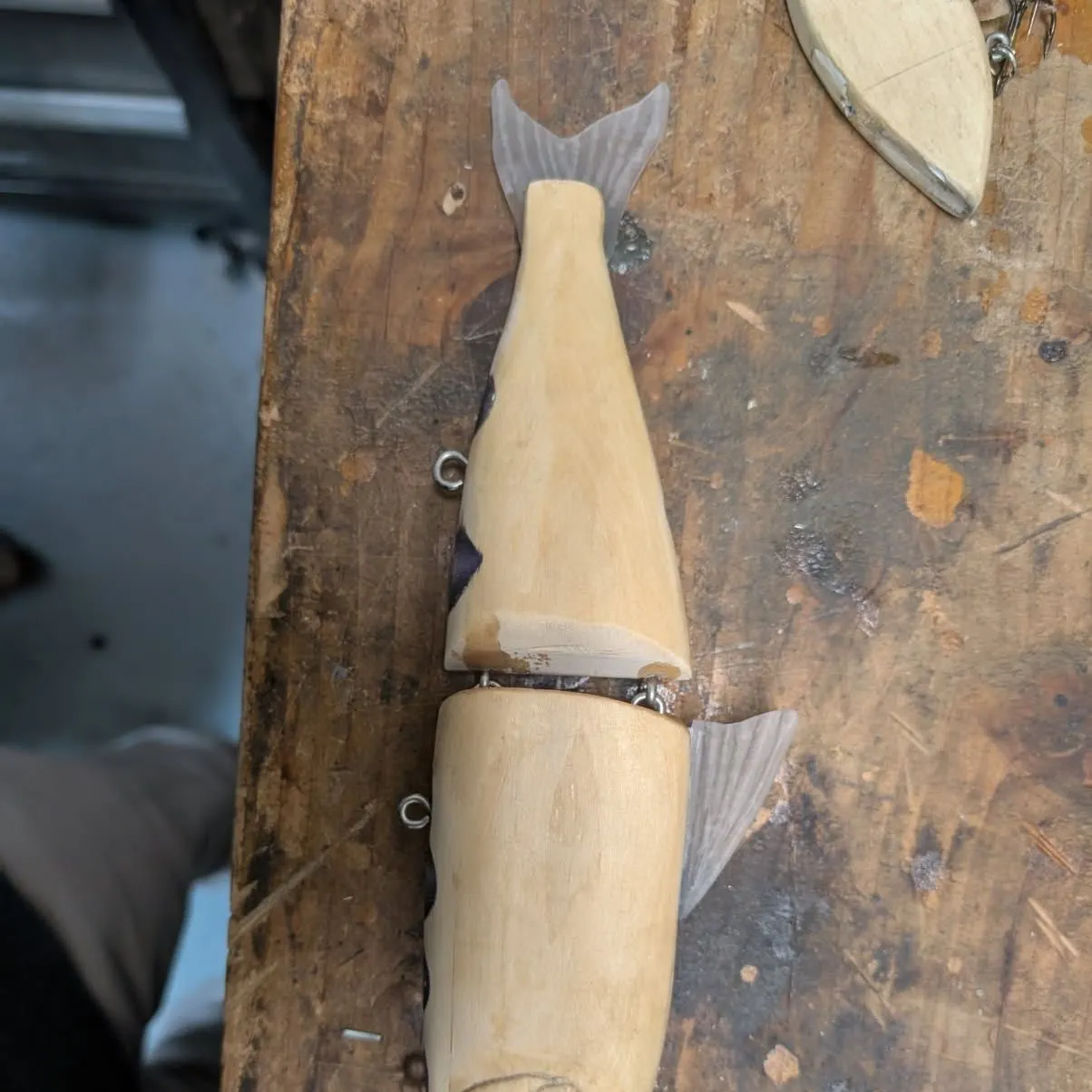 The most recent Northern cisco catches on Fishbrain